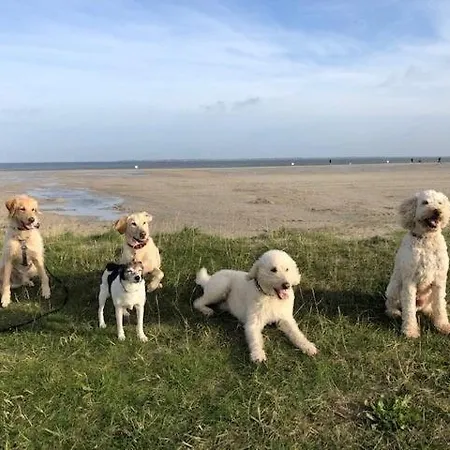 Pfoetchenparadies I Apartamento *