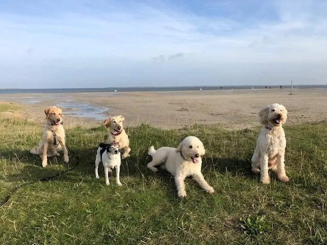 Pfoetchenparadies I Διαμέρισμα *