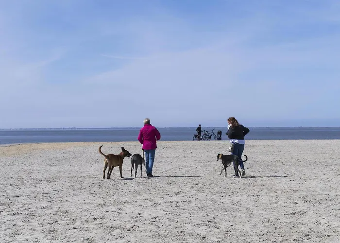 Pfoetchenparadies I * Geestland