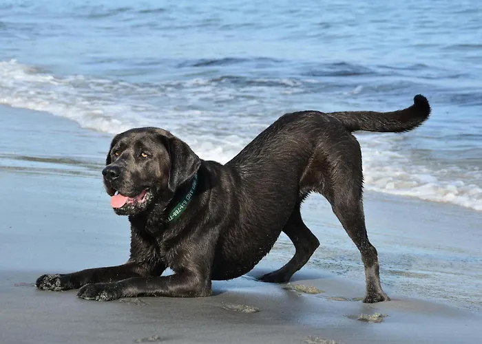 Pfoetchenparadies I Διαμέρισμα