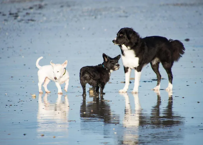 Pfoetchenparadies I Διαμέρισμα Geestland